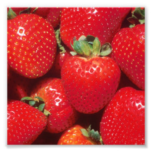 Impression Photo Fraises en gros plan
