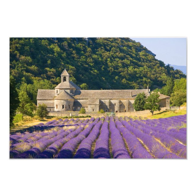 Impression Photo France, Gordes. monastère cistercien de (Devant)