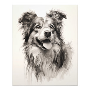 Impression Photo Free Spirit Chien noir et blanc