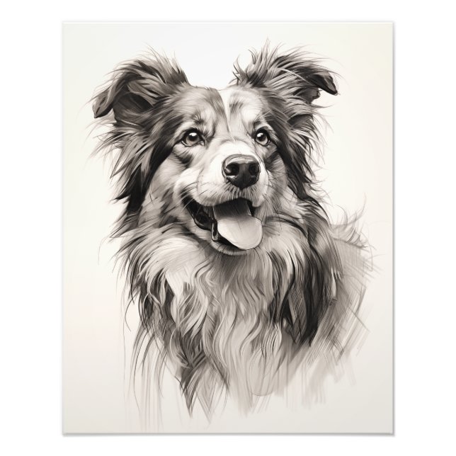 Impression Photo Free Spirit Chien noir et blanc (Devant)