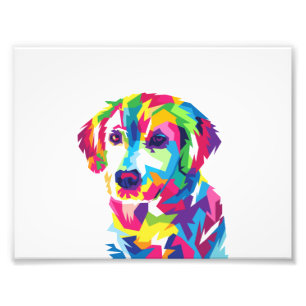 Impression Photo Funny Chiot coloré - Choisir la couleur arrière -