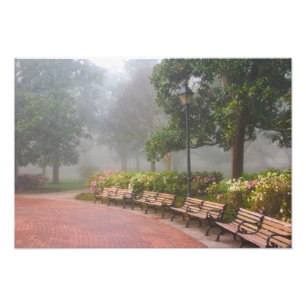 Impression Photo GA Savannah, Azaleas le long du trottoir en brique