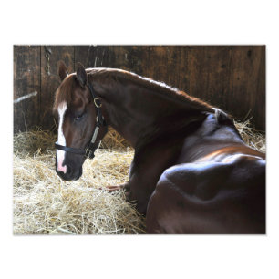 Impression Photo Gagnant "Madefromlucky " de la Virginie