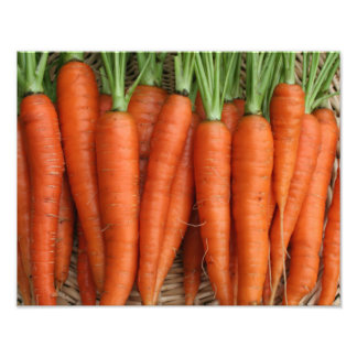 Impression Photo Garden Fresh Heirloom Carrots