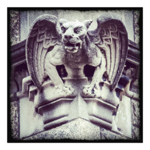 Impression Photo Gargoyle