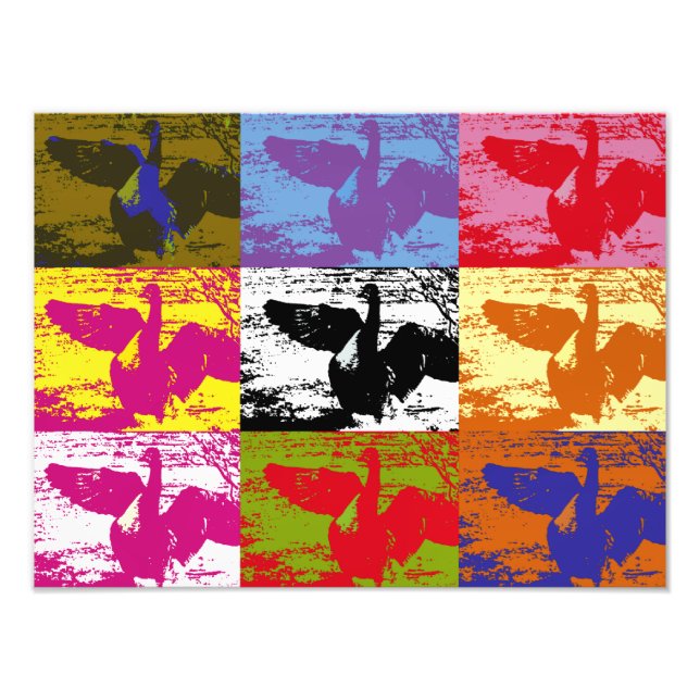 IMPRESSION PHOTO GEESE (Devant)