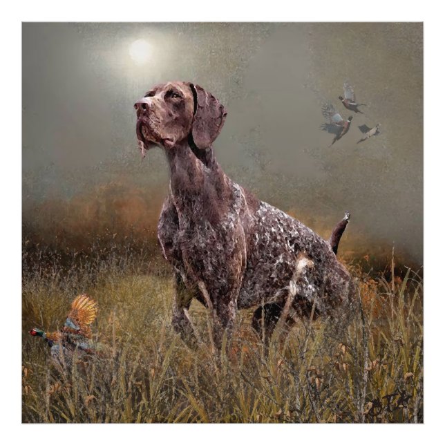 Impression Photo German Shorthaired Pointers  (Devant)