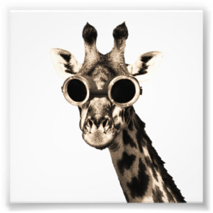 Impression Photo Giraffe Avec Lunettes De Soleil Steampunk Lunettes