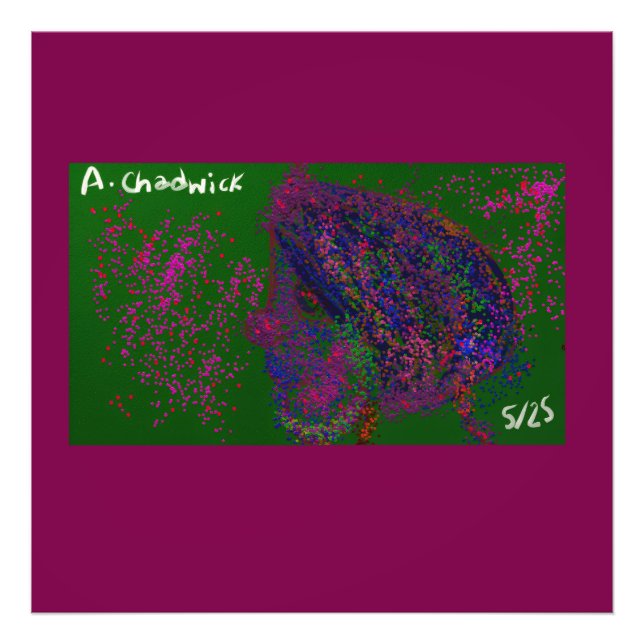 Impression Photo Gnome Quilted Pattern  (Devant)