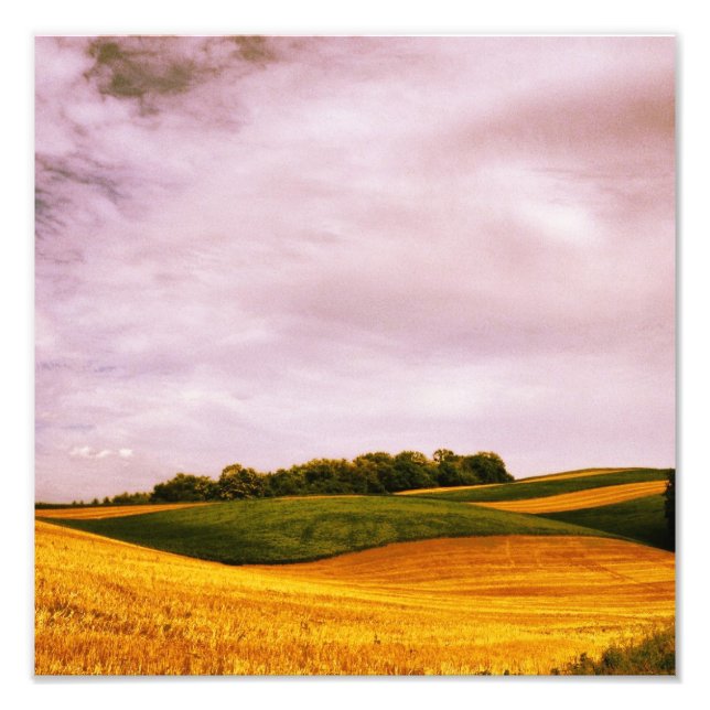 Impression Photo Golden Farmland (Devant)