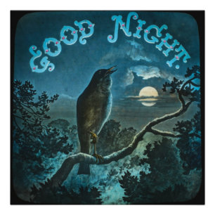 Impression Photo Good Night Bird on a Branch Vintage Circa 1890