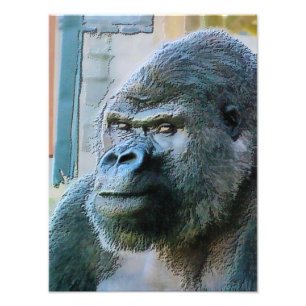 IMPRESSION PHOTO GORILLAS