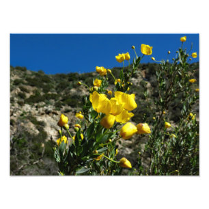 Impression Photo Gould Mesa Trail, CA
