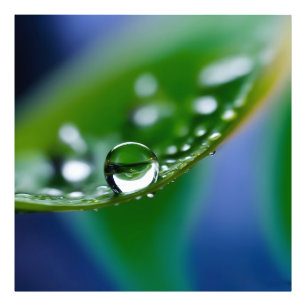 Impression Photo Gouttes d'eau de macro
