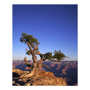 Impression Photo Grand Canyon, Arizona, États-Unis