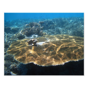 Impression Photo Grand corral