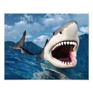 Impression Photo Grand requin blanc