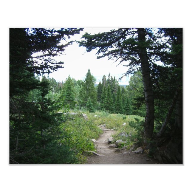 Impression Photo Grand Teton Trail (Devant)