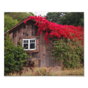 Impression Photo Grange de couleur
