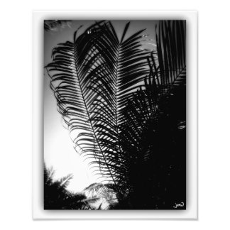 Impression Photo Graveurs Sky