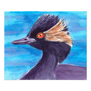 Impression Photo Grebe