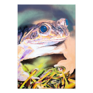 Impression Photo Grenouille