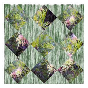 Impression Photo Grevillea : embrassant les motifs diamantés de la 