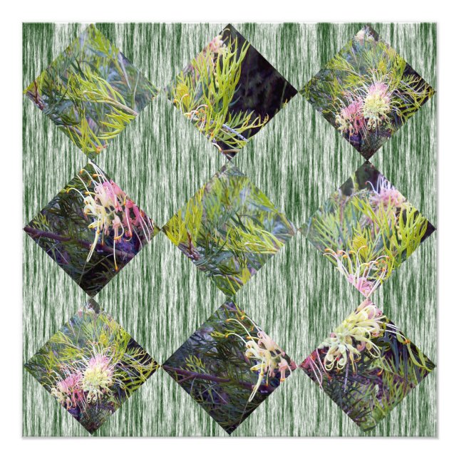 Impression Photo Grevillea : Embrasser les Motifs de Diamants de la (Devant)