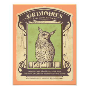 Impression photo Grimoires Owl