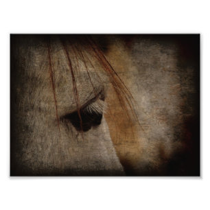 Impression Photo Gris Cheval Face Grunge