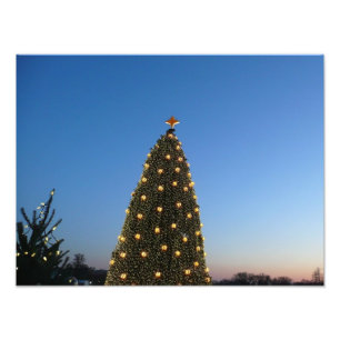 Impression Photo Gros et petits arbres de Noël I Coucher de soleil 