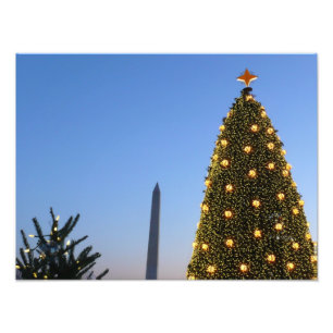 Impression Photo Gros et petits arbres de Noël II Vacances à DC