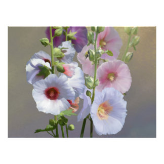 Impression Photo Groupement Hollyhock