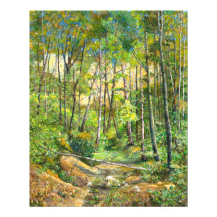 Impression Photo grove