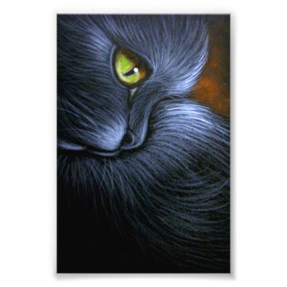 IMPRESSION PHOTO HALLOWEEN IMAGINAIRE NOIR CAT 4" X 6" IMPRIMER