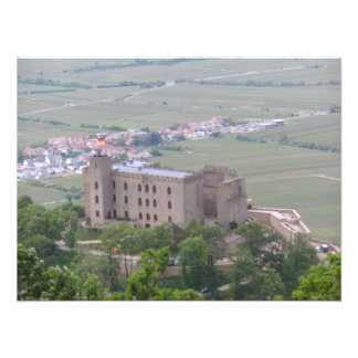 Impression Photo Hambacher Schloss