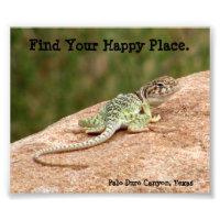 Happy Place Lizard Print