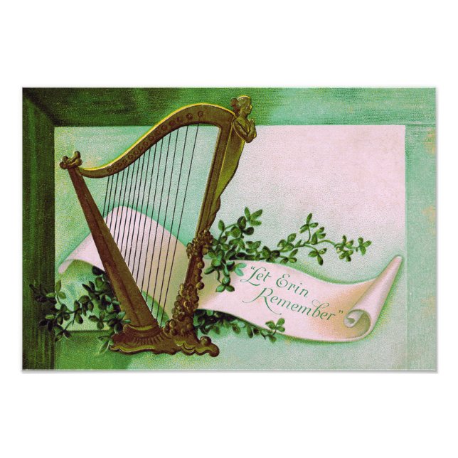 Impression Photo Harpe d'Erin Shamrock Green (Devant)