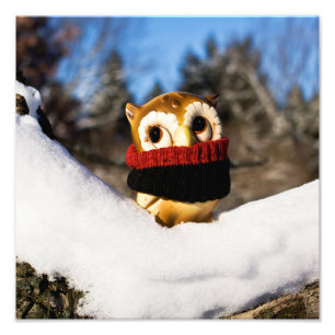 Impression Photo Harvey the Owl IV