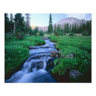 Impression Photo HAUTE SAUVAGE DE L'UINTAS, UTAH. Forêt de Stillwa