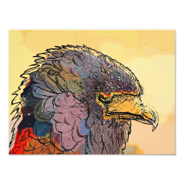 IMPRESSION PHOTO HAWK (Devant)