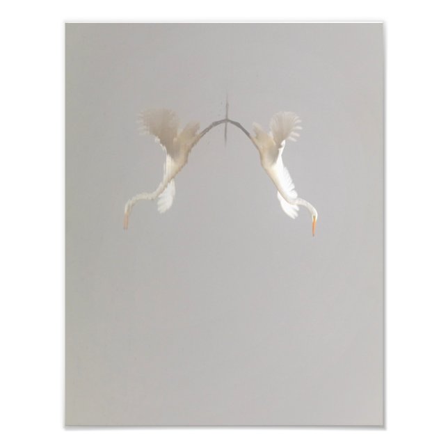 Impression Photo Héron blanc décolle Zen (Devant)