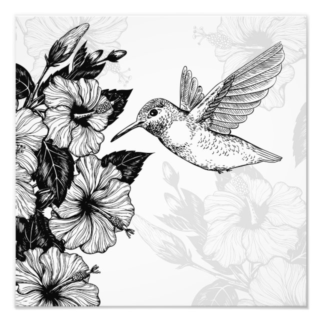 Impression Photo Hibiscus et colibri (Devant)