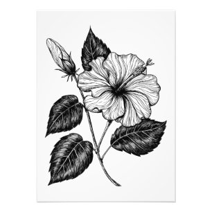 Impression Photo Hibiscus fleur II