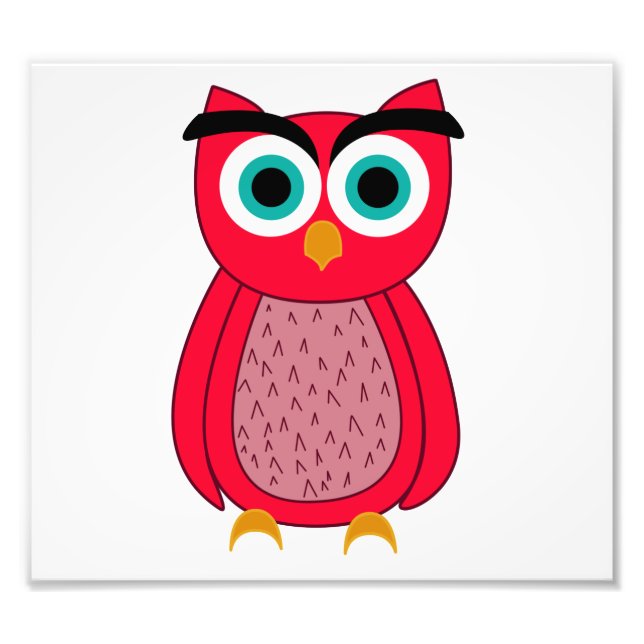 Impression Photo Hibou (Devant)