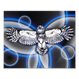 Impression Photo Hibou