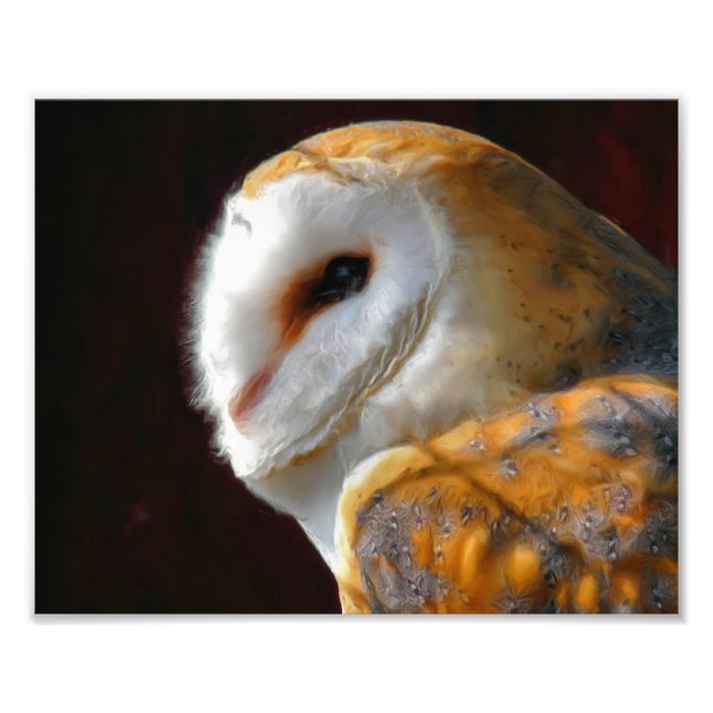 IMPRESSION PHOTO HIBOU (Devant)