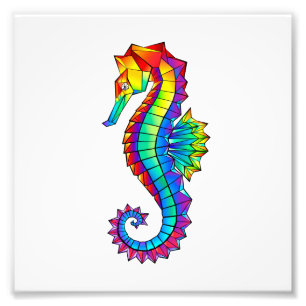 Impression Photo Hippocampe polygonal arc-en-ciel