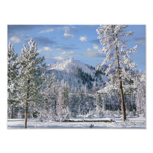 Impression Photo Hiver dans le parc national de Yellowstone, Wyomin (Devant)