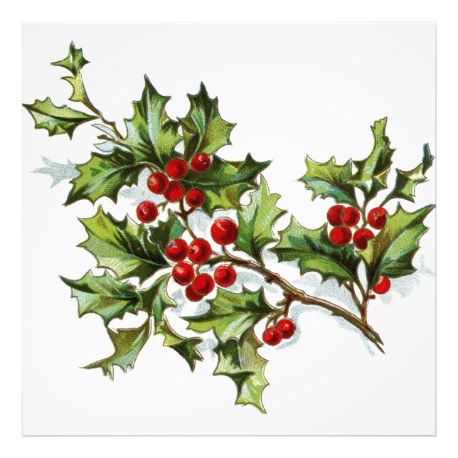 Impression Photo HollyBerries20150802 (Devant)